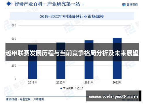 越甲联赛发展历程与当前竞争格局分析及未来展望